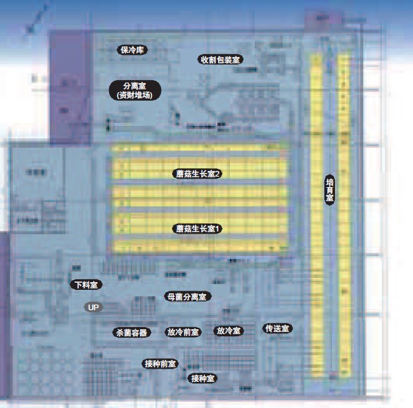食用菌冷庫設計圖